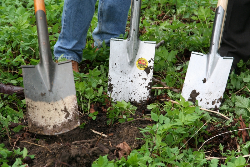 pepiniere-BIOT-min_work-lawn-flower-tool-green-backyard-1103633-pxhere.com